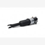 Air Suspension Strut for Bentley Continental GT 2003 - 2018 Rear Left